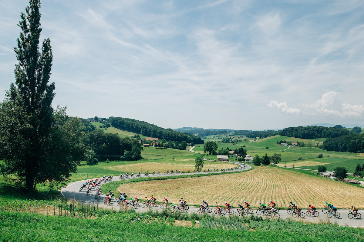 Results – Stage 2 / Ptuj – Rogaška Slatina