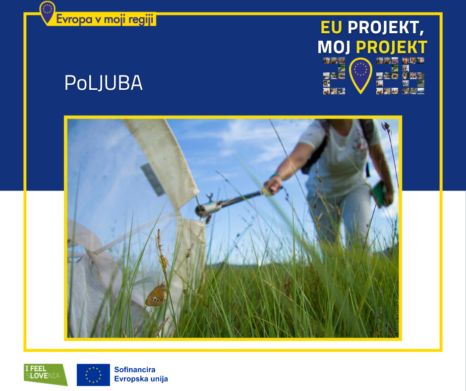 Korak bližje naravi: evropski projekt PoLJUBA vrača življenje mokriščem